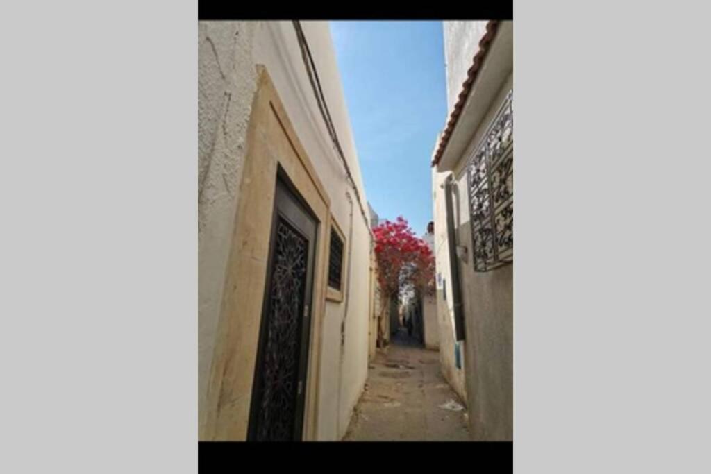 Apartmán Dar El Halfaouine Tunis Exteriér fotografie